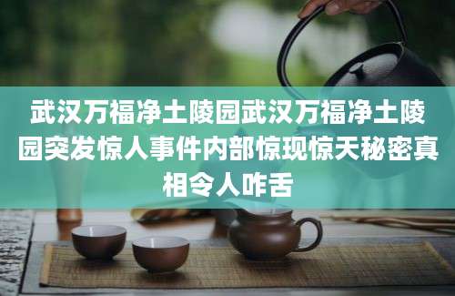 武汉万福净土陵园武汉万福净土陵园突发惊人事件内部惊现惊天秘密真相令人咋舌