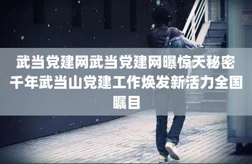 武当党建网武当党建网曝惊天秘密千年武当山党建工作焕发新活力全国瞩目