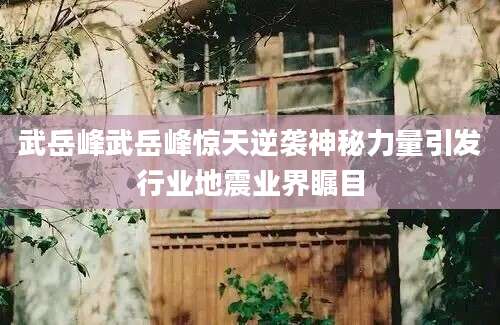 武岳峰武岳峰惊天逆袭神秘力量引发行业地震业界瞩目