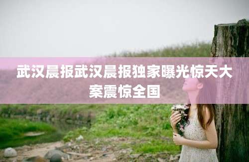 武汉晨报武汉晨报独家曝光惊天大案震惊全国