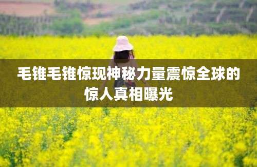 毛锥毛锥惊现神秘力量震惊全球的惊人真相曝光