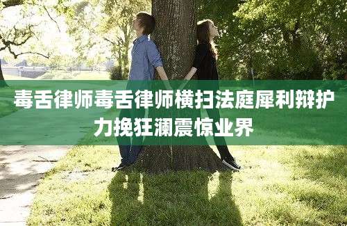 毒舌律师毒舌律师横扫法庭犀利辩护力挽狂澜震惊业界