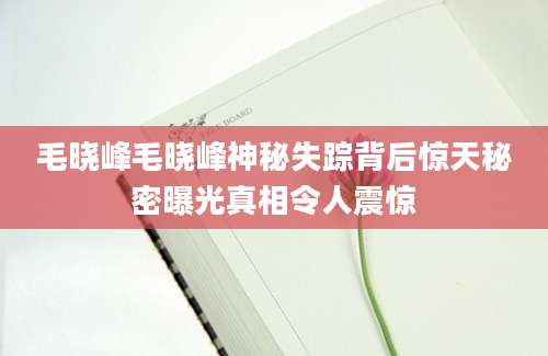 毛晓峰毛晓峰神秘失踪背后惊天秘密曝光真相令人震惊