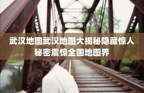 武汉地图武汉地图大揭秘隐藏惊人秘密震惊全国地图界
