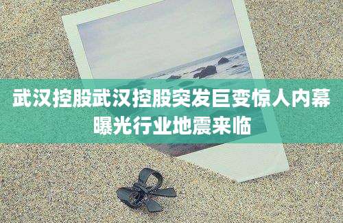 武汉控股武汉控股突发巨变惊人内幕曝光行业地震来临
