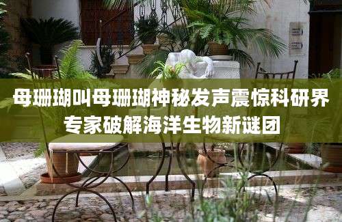 母珊瑚叫母珊瑚神秘发声震惊科研界专家破解海洋生物新谜团
