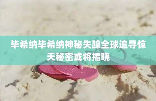 毕希纳毕希纳神秘失踪全球追寻惊天秘密或将揭晓