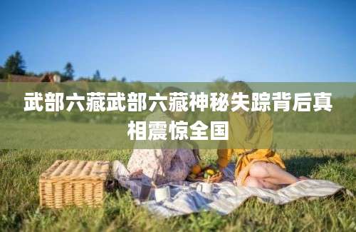 武部六藏武部六藏神秘失踪背后真相震惊全国