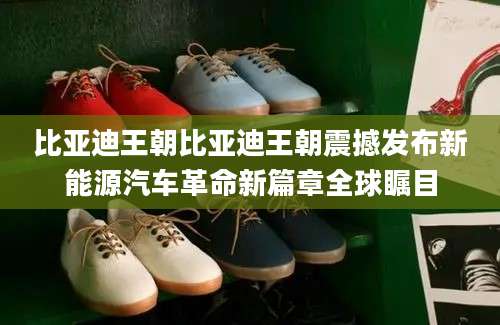 比亚迪王朝比亚迪王朝震撼发布新能源汽车革命新篇章全球瞩目