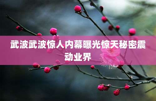 武波武波惊人内幕曝光惊天秘密震动业界