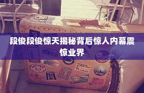 段俊段俊惊天揭秘背后惊人内幕震惊业界
