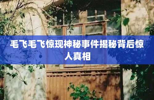 毛飞毛飞惊现神秘事件揭秘背后惊人真相