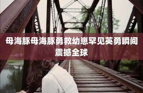 母海豚母海豚勇救幼崽罕见英勇瞬间震撼全球