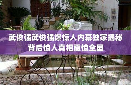 武俊强武俊强爆惊人内幕独家揭秘背后惊人真相震惊全国