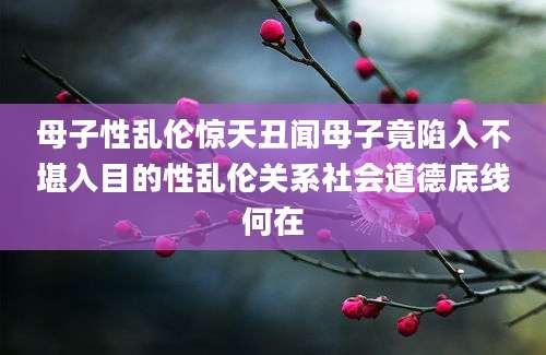 母子性乱伦惊天丑闻母子竟陷入不堪入目的性乱伦关系社会道德底线何在