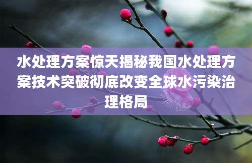 水处理方案惊天揭秘我国水处理方案技术突破彻底改变全球水污染治理格局