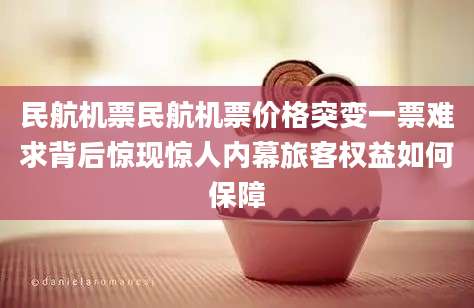 民航机票民航机票价格突变一票难求背后惊现惊人内幕旅客权益如何保障