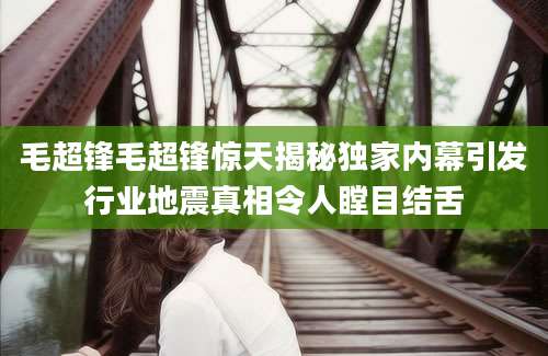 毛超锋毛超锋惊天揭秘独家内幕引发行业地震真相令人瞠目结舌