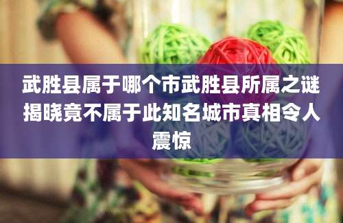 武胜县属于哪个市武胜县所属之谜揭晓竟不属于此知名城市真相令人震惊