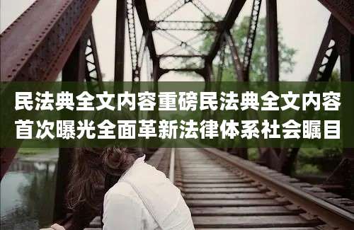 民法典全文内容重磅民法典全文内容首次曝光全面革新法律体系社会瞩目