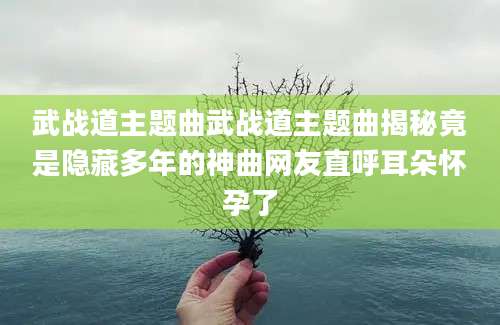 武战道主题曲武战道主题曲揭秘竟是隐藏多年的神曲网友直呼耳朵怀孕了