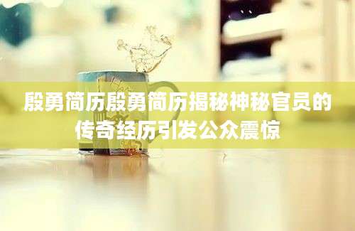 殷勇简历殷勇简历揭秘神秘官员的传奇经历引发公众震惊