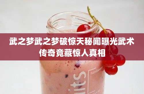 武之梦武之梦破惊天秘闻曝光武术传奇竟藏惊人真相
