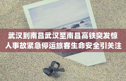 武汉到南昌武汉至南昌高铁突发惊人事故紧急停运旅客生命安全引关注