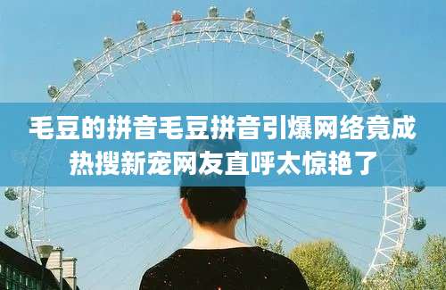 毛豆的拼音毛豆拼音引爆网络竟成热搜新宠网友直呼太惊艳了