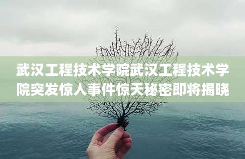 武汉工程技术学院武汉工程技术学院突发惊人事件惊天秘密即将揭晓