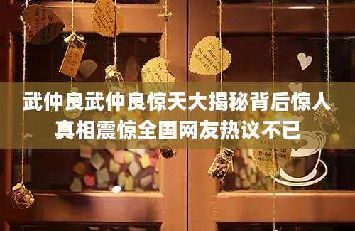 武仲良武仲良惊天大揭秘背后惊人真相震惊全国网友热议不已