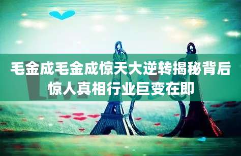 毛金成毛金成惊天大逆转揭秘背后惊人真相行业巨变在即