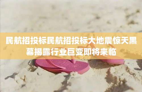 民航招投标民航招投标大地震惊天黑幕揭露行业巨变即将来临