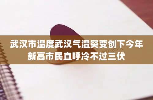 武汉市温度武汉气温突变创下今年新高市民直呼冷不过三伏