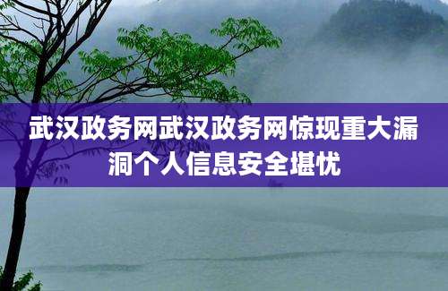 武汉政务网武汉政务网惊现重大漏洞个人信息安全堪忧