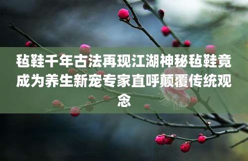 毡鞋千年古法再现江湖神秘毡鞋竟成为养生新宠专家直呼颠覆传统观念