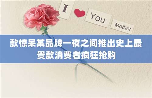 款惊呆某品牌一夜之间推出史上最贵款消费者疯狂抢购