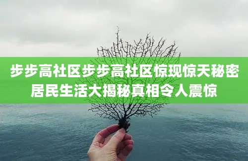 步步高社区步步高社区惊现惊天秘密居民生活大揭秘真相令人震惊
