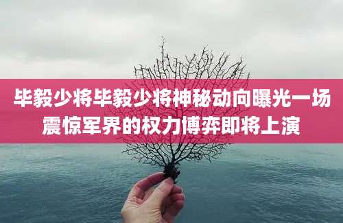 毕毅少将毕毅少将神秘动向曝光一场震惊军界的权力博弈即将上演