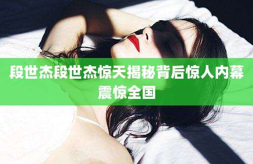 段世杰段世杰惊天揭秘背后惊人内幕震惊全国