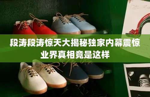 段涛段涛惊天大揭秘独家内幕震惊业界真相竟是这样