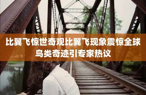比翼飞惊世奇观比翼飞现象震惊全球鸟类奇迹引专家热议