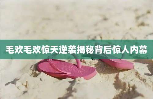 毛欢毛欢惊天逆袭揭秘背后惊人内幕