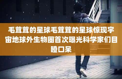 毛茸茸的星球毛茸茸的星球惊现宇宙地球外生物圈首次曝光科学家们目瞪口呆