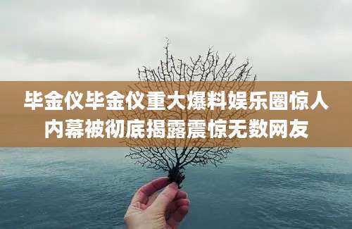 毕金仪毕金仪重大爆料娱乐圈惊人内幕被彻底揭露震惊无数网友