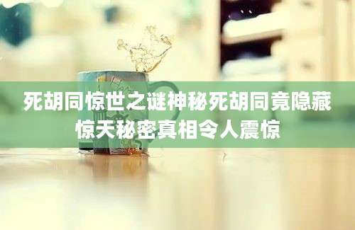 死胡同惊世之谜神秘死胡同竟隐藏惊天秘密真相令人震惊