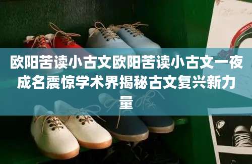 欧阳苦读小古文欧阳苦读小古文一夜成名震惊学术界揭秘古文复兴新力量