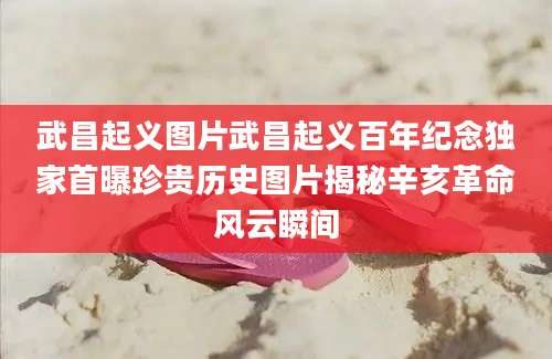 武昌起义图片武昌起义百年纪念独家首曝珍贵历史图片揭秘辛亥革命风云瞬间