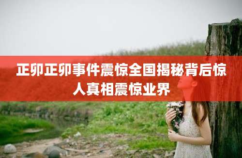 正卯正卯事件震惊全国揭秘背后惊人真相震惊业界