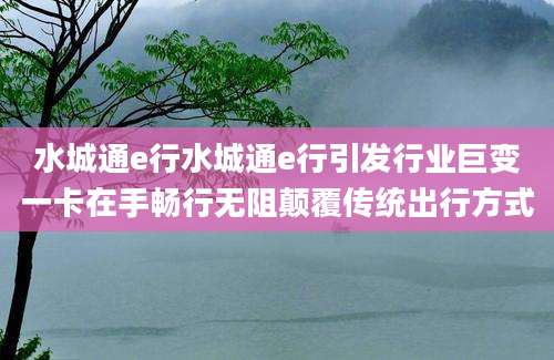 水城通e行水城通e行引发行业巨变一卡在手畅行无阻颠覆传统出行方式